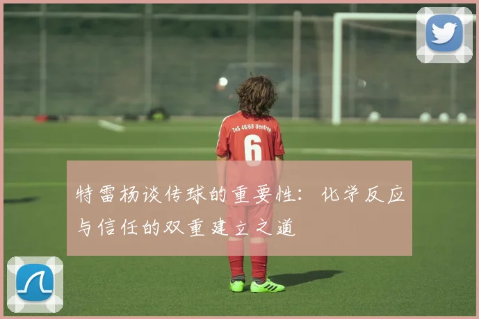 特雷杨谈传球的重要性：化学反应与信任的双重建立之道