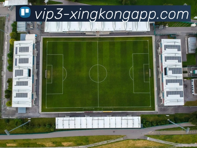 赛事专题整合
